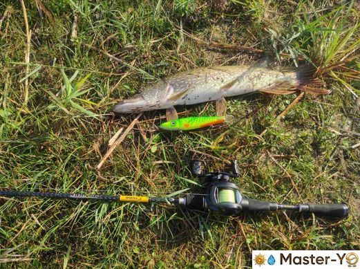 MASTER YO | Manta-150(150SS | 60g | Щука торф'яна*Закінчуються