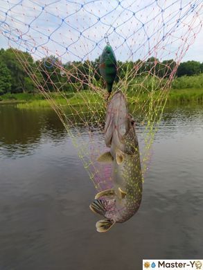MASTER YO | Rudd(85S | 20g | Голубой)