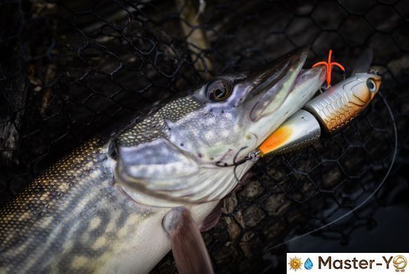 MASTER YO | Freedom Small (F) (90F | 21g | Кислота (фл)